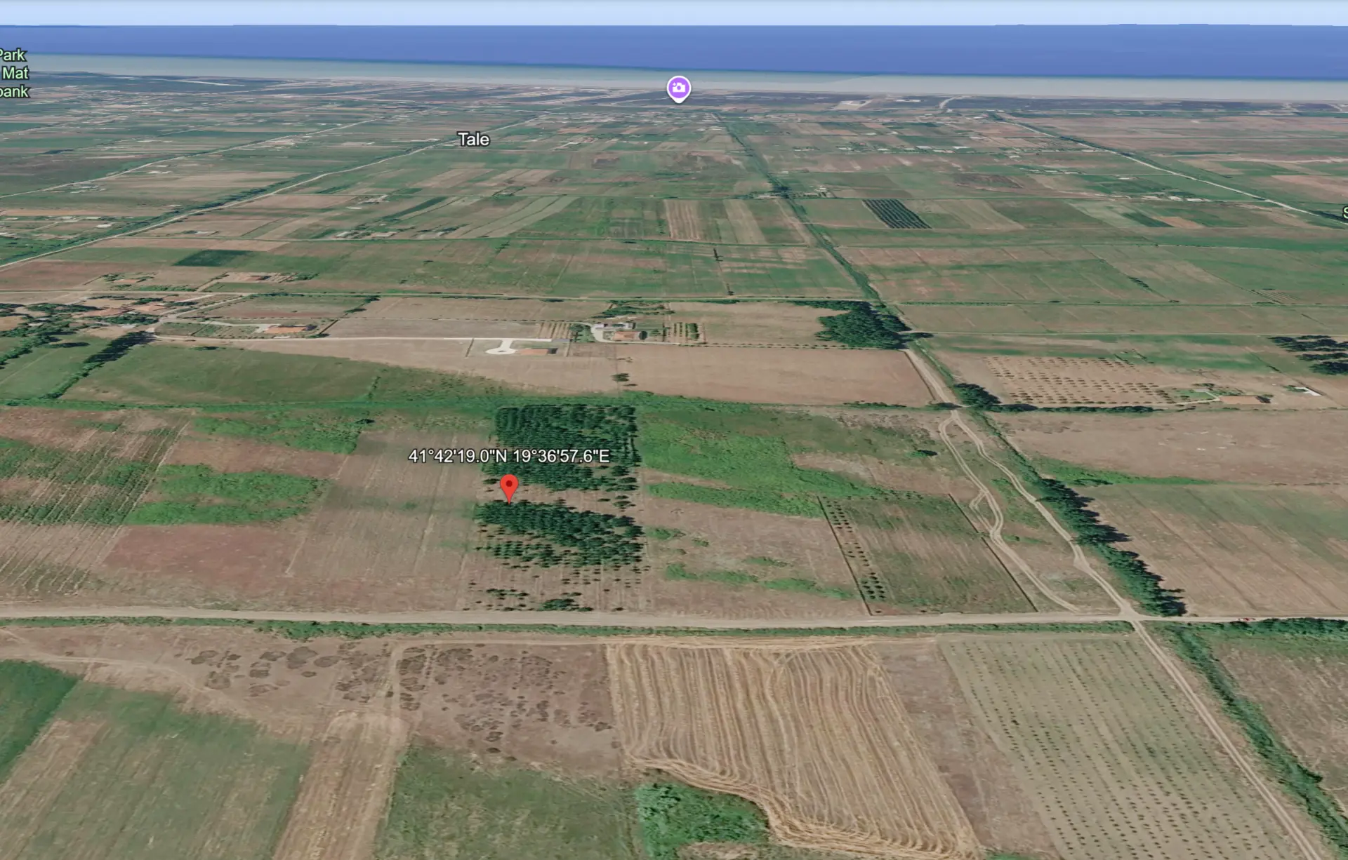 Parcelë 1 hektar e 6 ari në Tale — foto 3