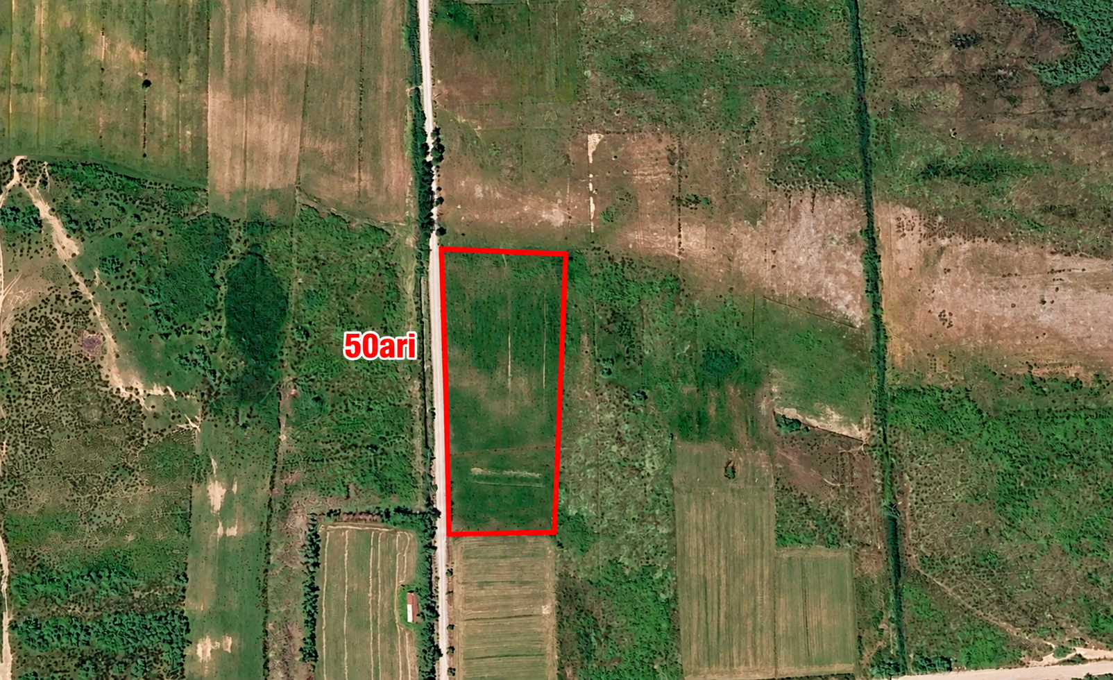 Parcelë 50 ari në Tale — 400 m nga deti — foto 2