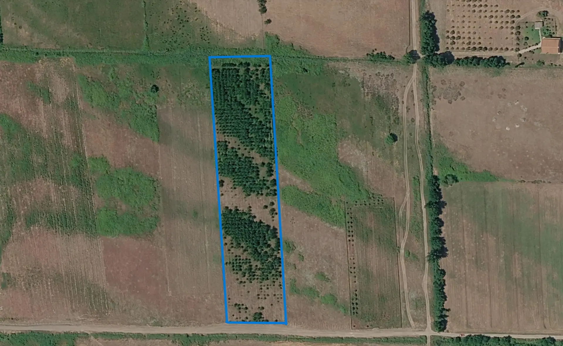 Parcelë 1 hektar e 6 ari në Tale — foto 2