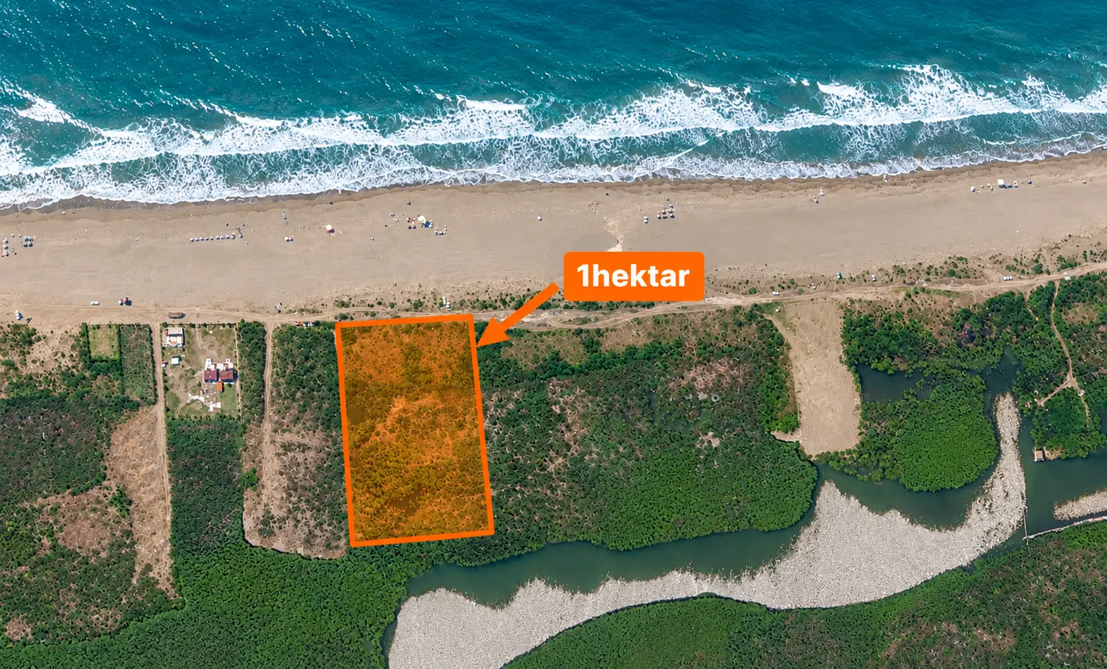 Pronë ekskluzive në vijën e parë në Tale – 1 hektar — foto 2